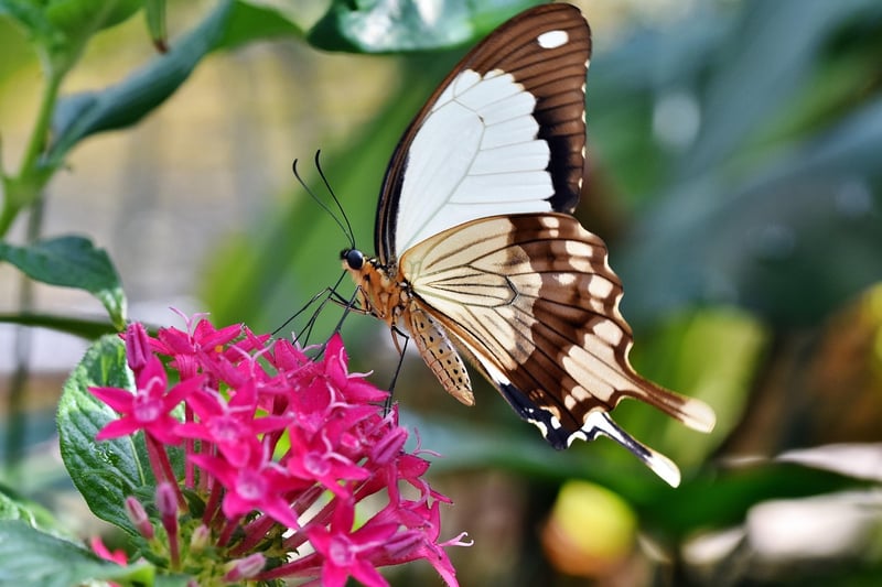 Botanical Garden