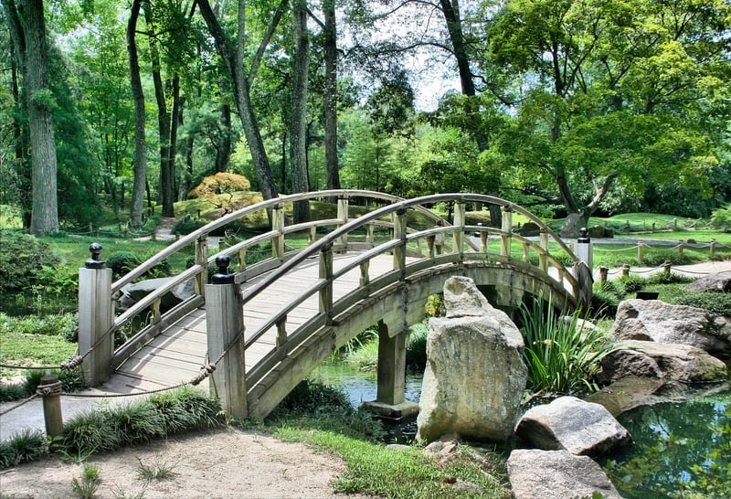 Zen Garden Oasis